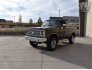 1979 Chevrolet C/K Truck Silverado for sale 101688087